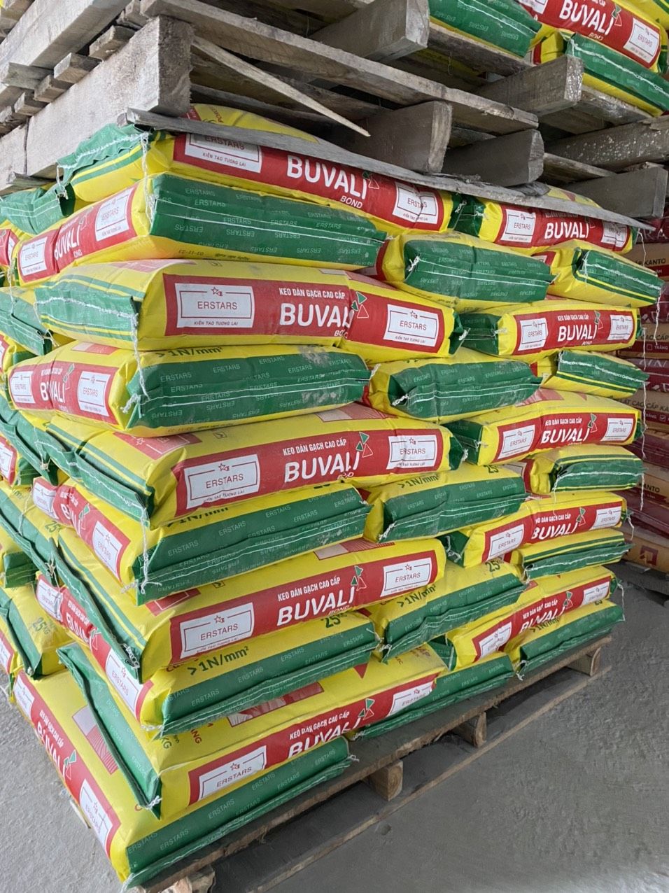 Ở ĐÂU CÓ ỐP LÁT BỂ BƠI – Ở ĐÓ CÓ BUVALI